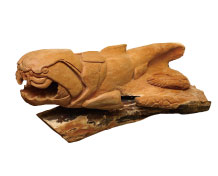 牛島  隆弘 ダンクレオステウス