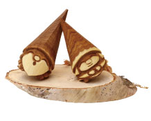 斉藤  政輝 森の小人「ニングル」